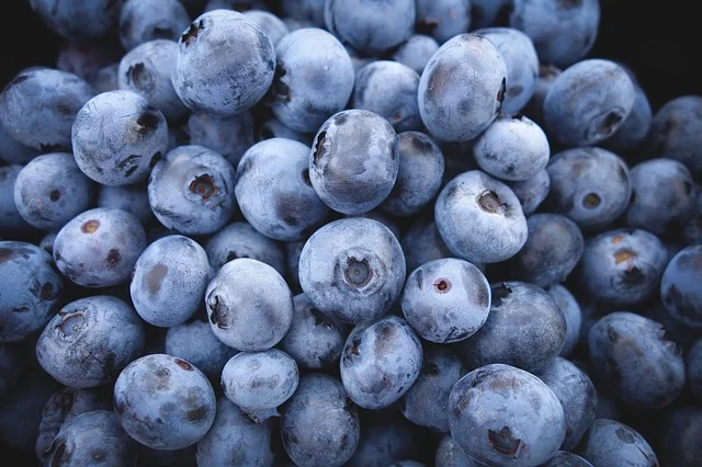 New crop of frozen blueberry