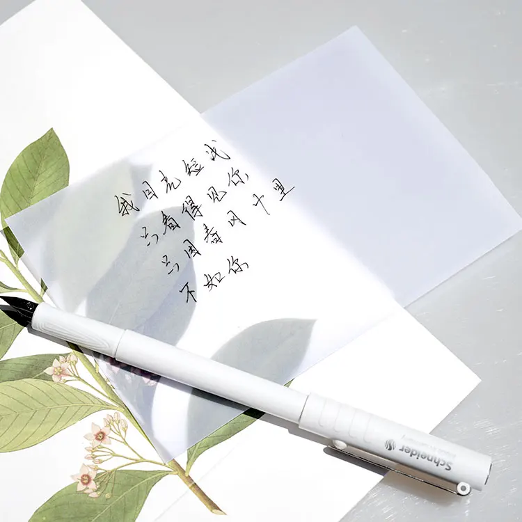 Оптовая продажа, пустая полупрозрачная бумага для пергамента, конверт из серной кислоты с пользовательским логотипом