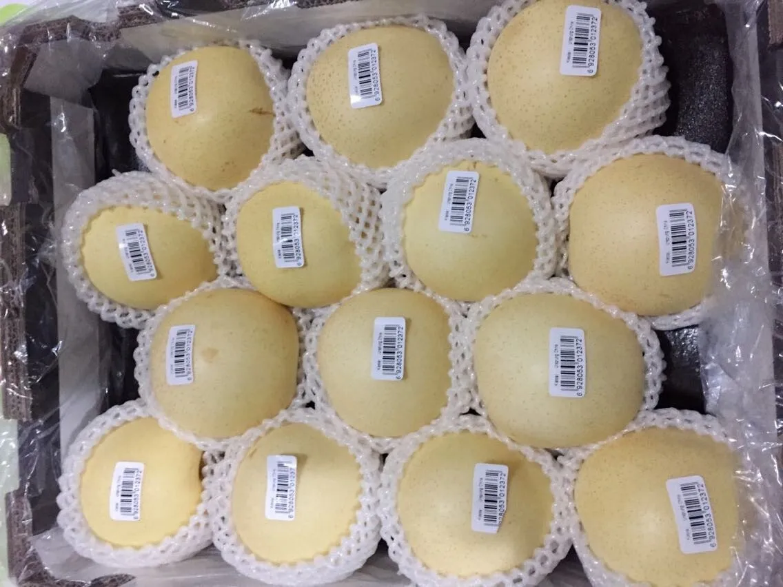Chinese 2021 new season star sweet and juicy Ya pear/Crystal pear/Asian pear
