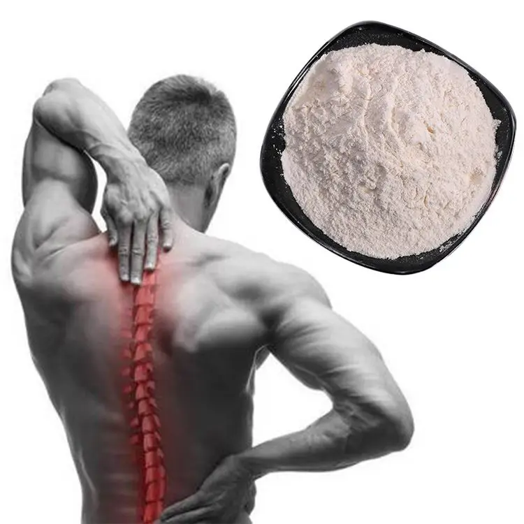 Top Quality Food Grade Chondroitin Sulfate Powder Chicken Chondroitin Sulfate Powder