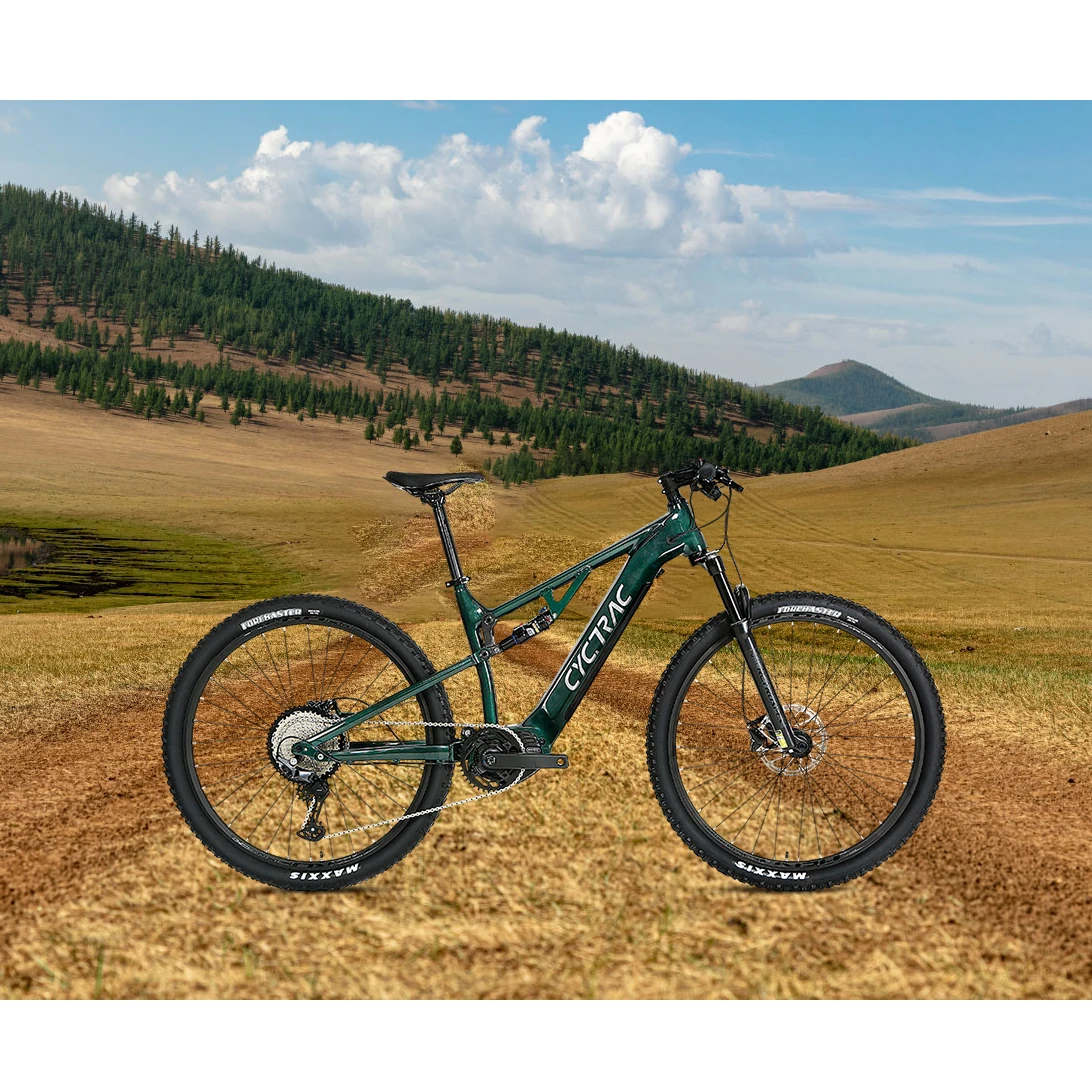 Electric bicycle mountain bike Li-ion battery 13A bafang mid motor 48V500W powerful full suspension ebike electric dirt bike