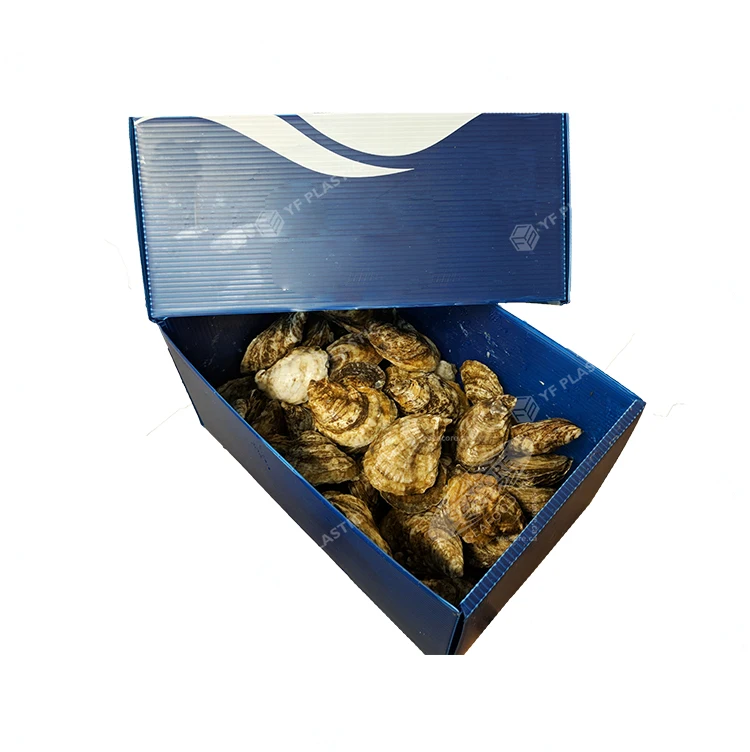 cheap price 100% virgin pp plastic corrugated shrimp box