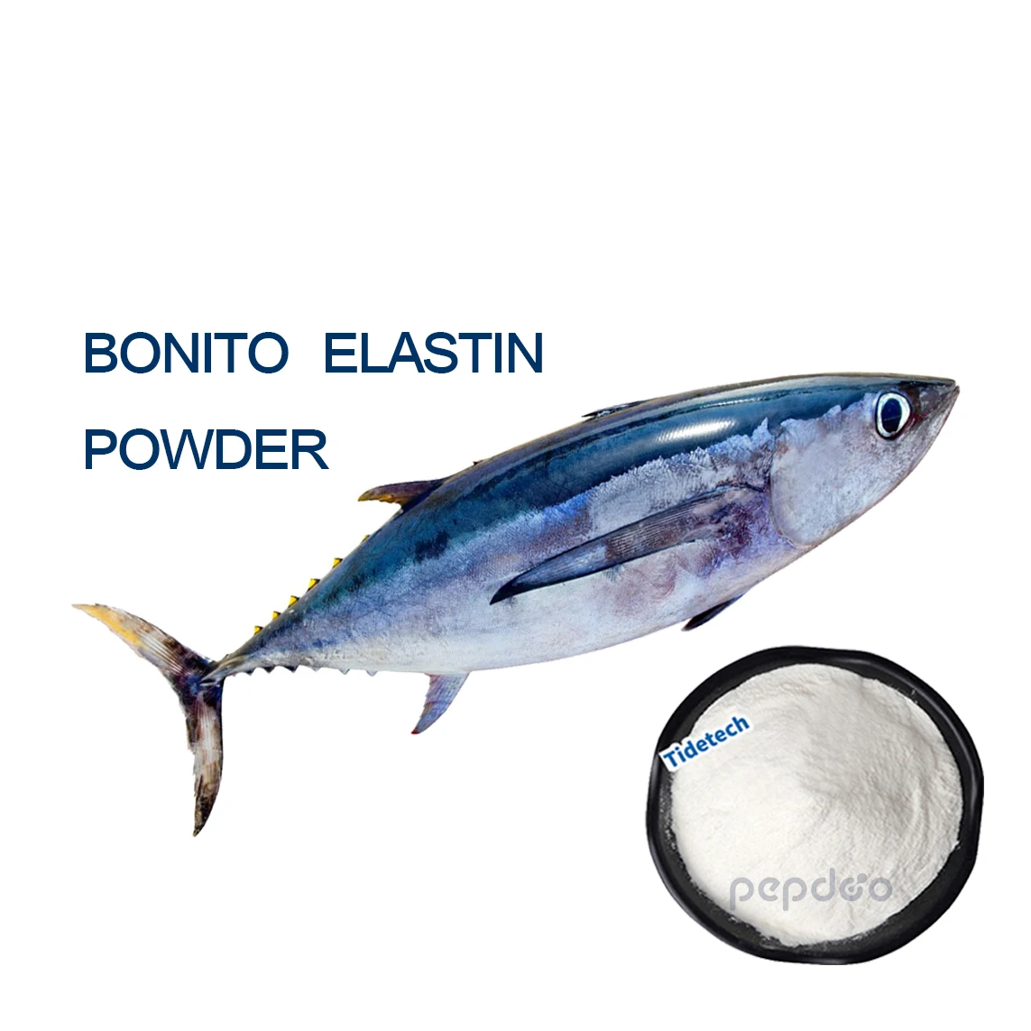 Fast Absorption Bonito Elastic Supplements Marine Elastic Bonito Elastin Peptide Powder Elastin powder