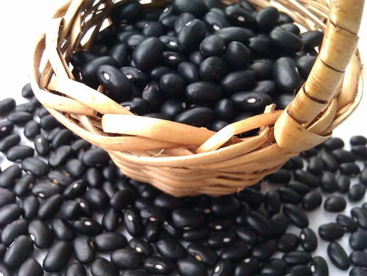 2023 new crop  black soy bean hot sale