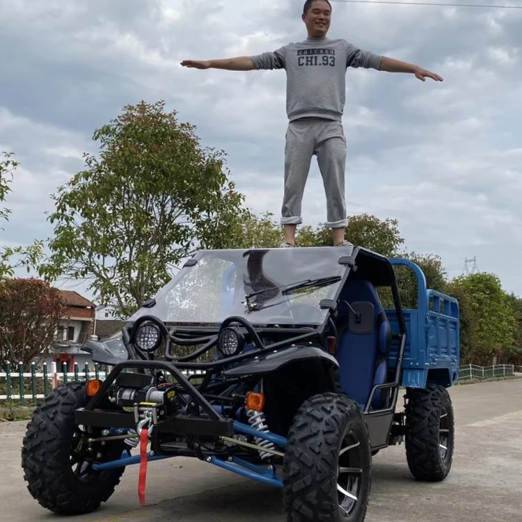  250 куб. См багги для взрослых с двумя сиденьями