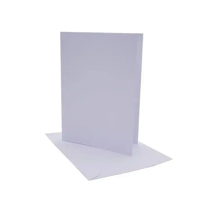 CVP Custom Business Cards With Logo And Paper Envelope