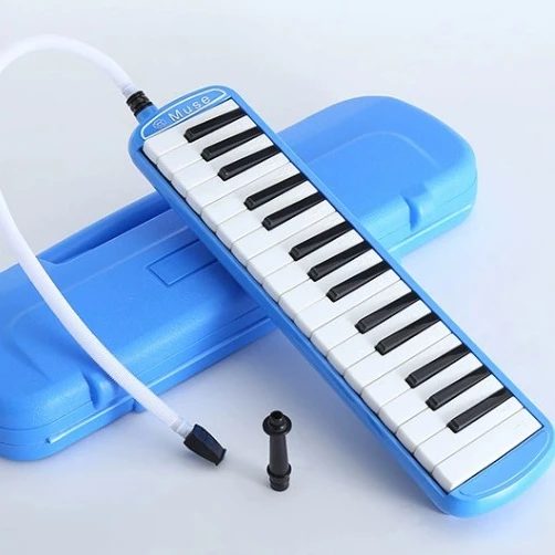 32 key Melodica Stainless Reed plate Ethnic Musical Instrument with Plastic Case for Sale