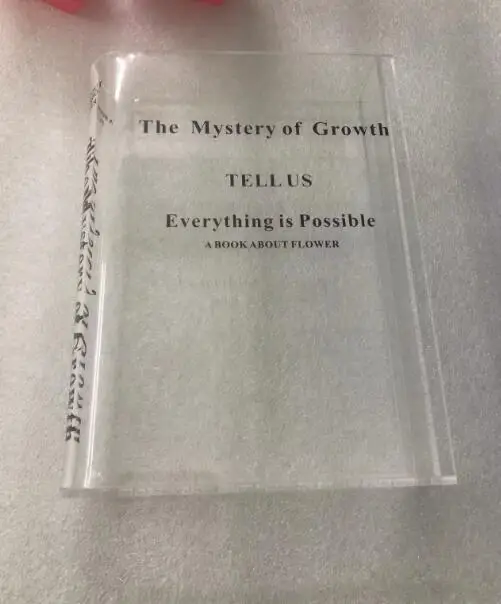 Clear Flower Box Bouquet Creative Fashion Design  Acrylic Vase Holder