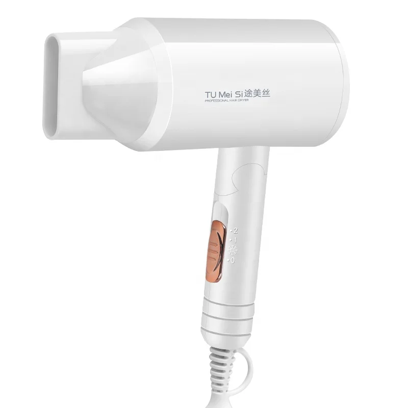 Anion Mini Professional Student Dormitory Blow Dryer Hotel Foldable Hair Dryer