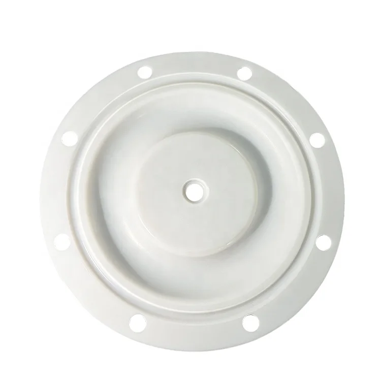 China Factory High Quality Pump Valve Seals Fittings PTFE Diaphragm for BSK Air Diaphragm Pump