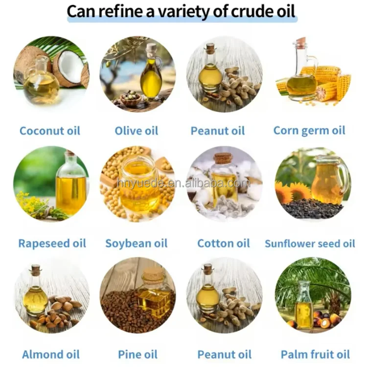 Soybean Canola Olive Sunflower Palm Oil Refining Equipment Mini Crude Oil Refinery For Sale