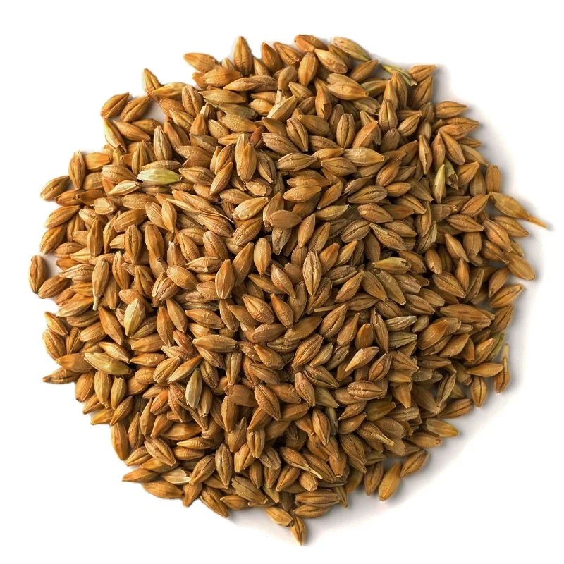 Barley for Malt, Barley Grain