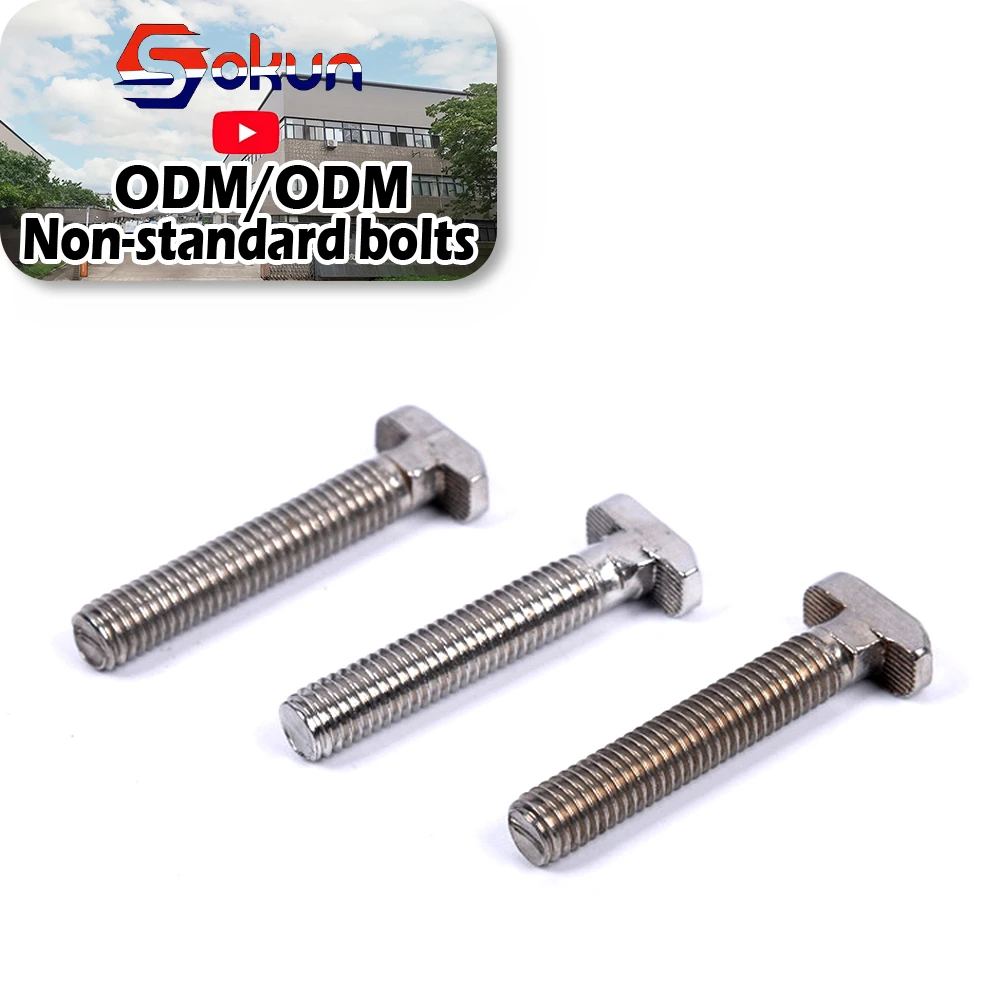 T-Head Bolt with Square Neck DIN 186 Standard Rust-Resistant Zinc Plated Available Titanium Aluminium Brass Nylon Plastic Steel