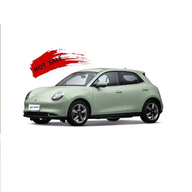 Safe And Fast Car Ora Good Cat Gt Eco Friendly Cars Cheap Best Looking Electric Cars