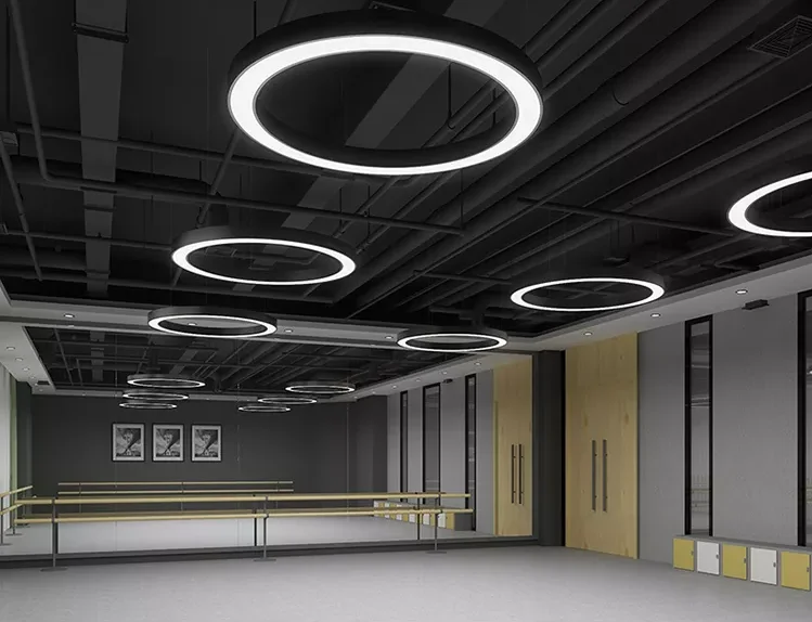 ECOJAS WD-SCR/CCR 60W aluminum profile interior designer round pendant lamp