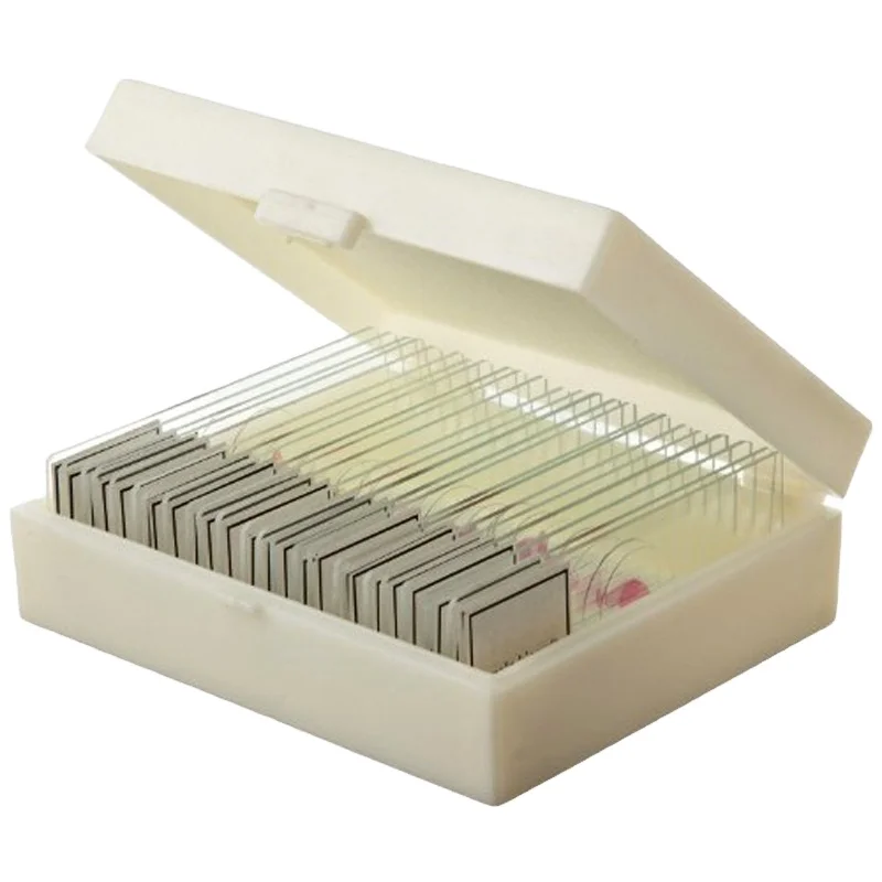 30pcs animal prepared side Kit  zoology prepared slides