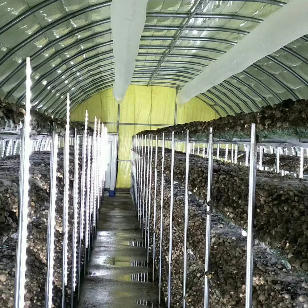Agricultural mushroom greenhouse mushroom grow house crystal mushroom house