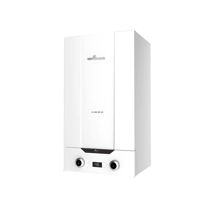 Wall-mounted Advanced Technology Family Low Water Pressure Start Gas Boiler