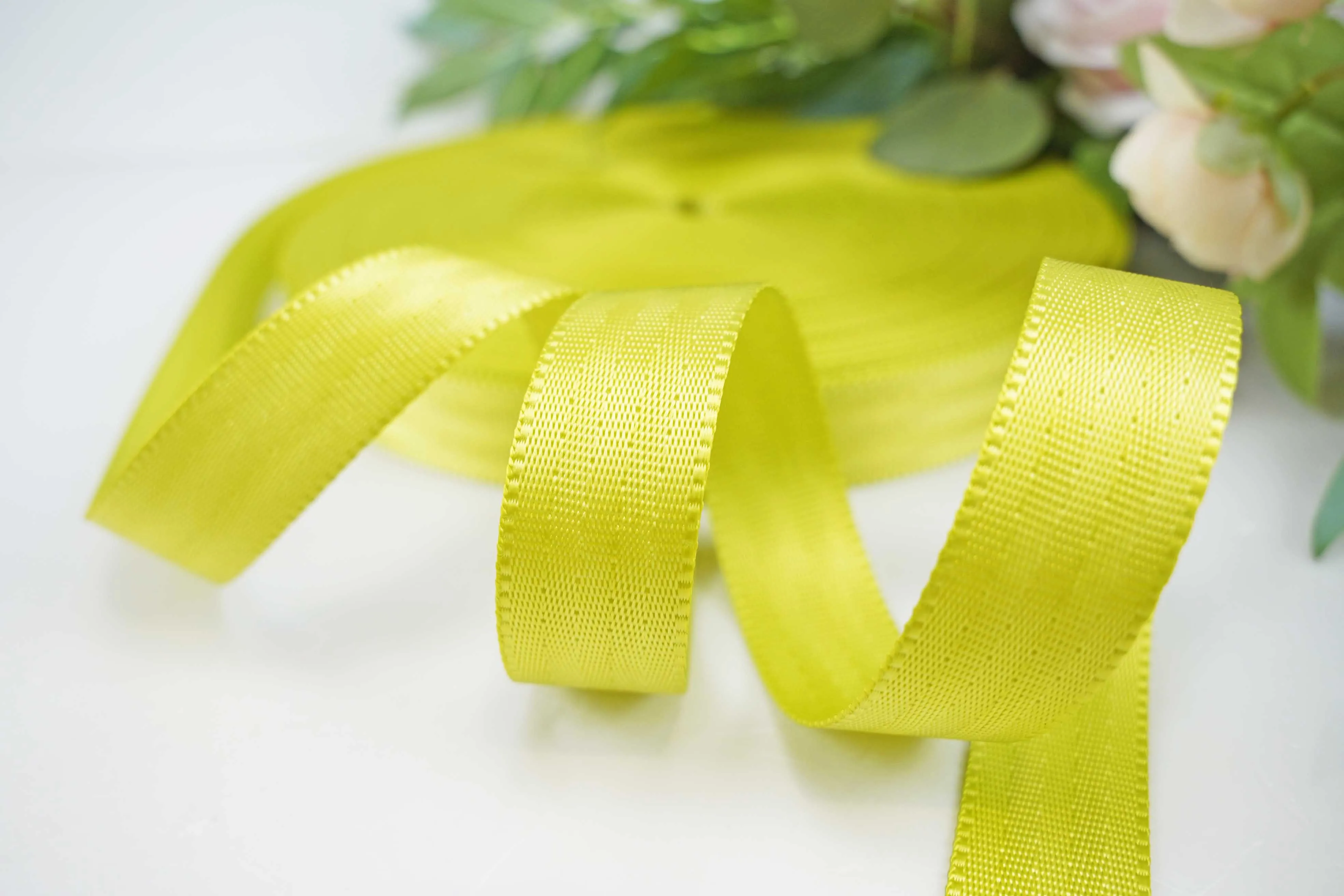 High quality FMVSS213 standard mult-panel polyester webbing strap for Child Seat belt