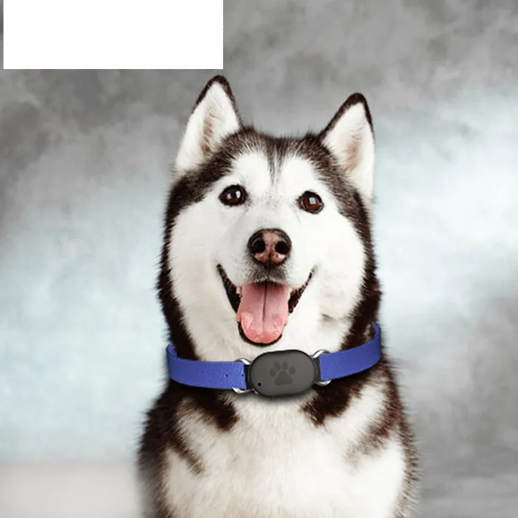 GPS Collar 2G Anti Lost Pet Positioning Locator Tracking GPS Tracker For Mini Size Pets