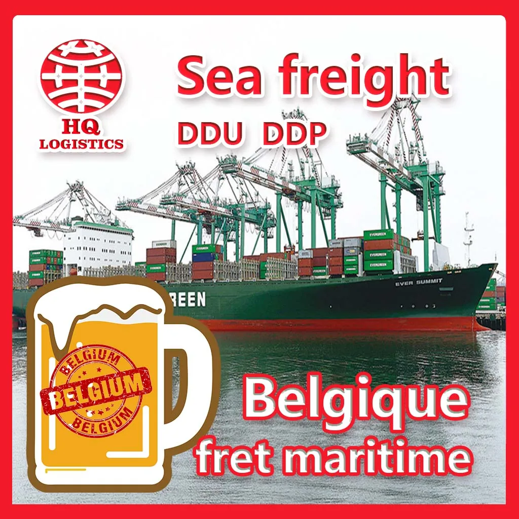 agent sea air transport chine belgium shipping agent to belgique Express Delivery Fedex freight forwarder china