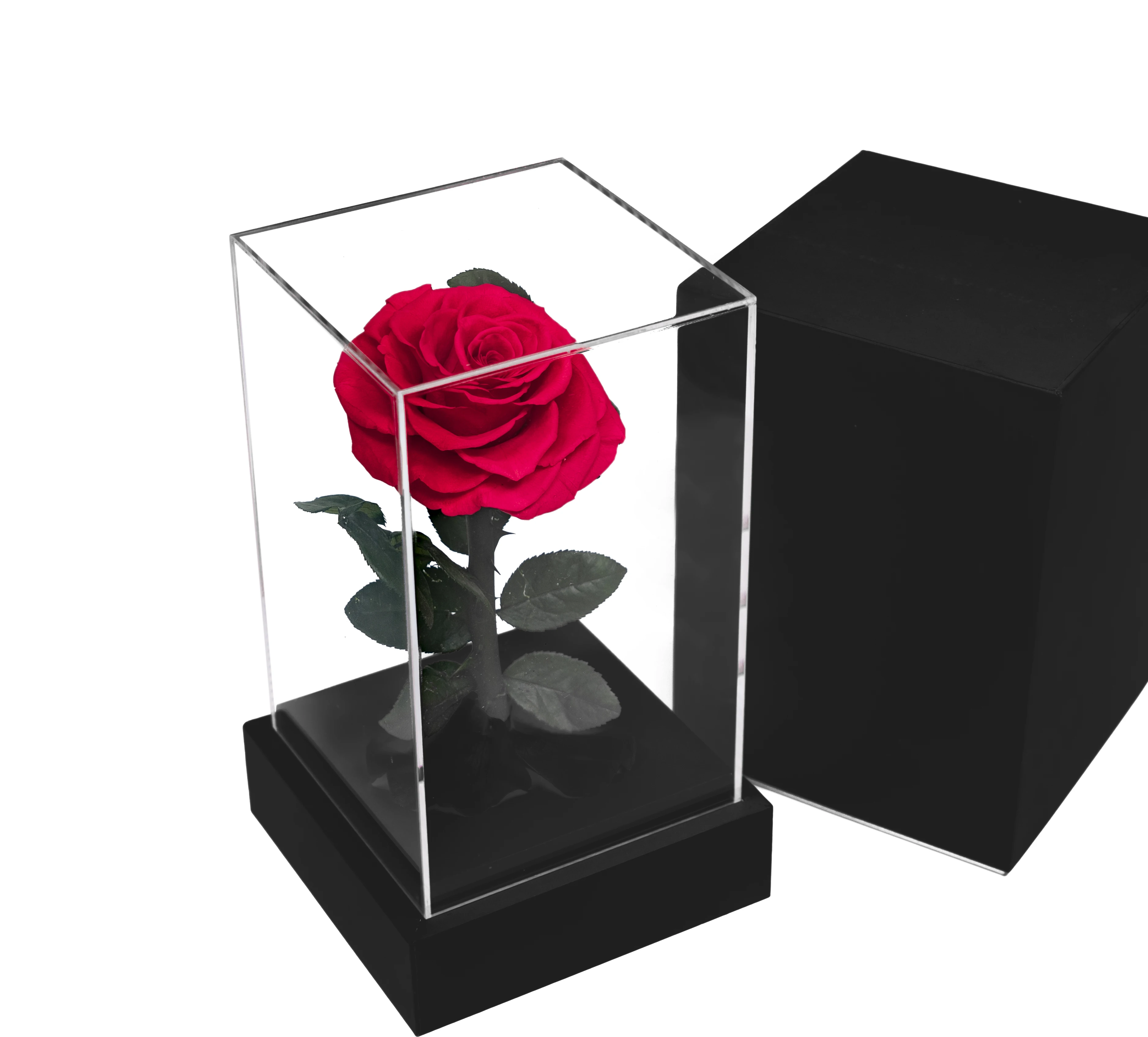 2023 New Idea Dried Real Natural Forever Immortal Flower Eternal Preserved Rose In Acrylic Mirror Flower Box