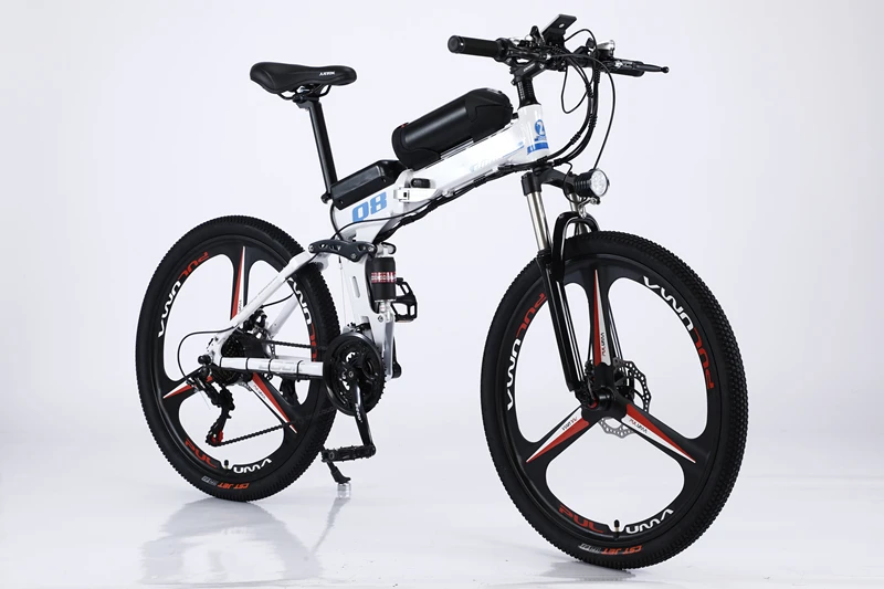 OEM Customized 750W Electric Mountain Bike Carbon Fibre Frame Fat Tire E-Bike for Off-Road Dirt Riding Electric Cycle on Sale