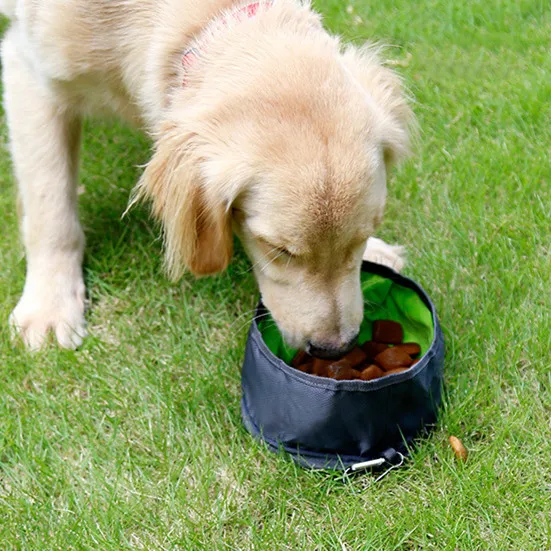 Large Lightweight Foldable Bowl Collapsible Dog Travel Bowls Water and Food Bowls for Pets Dogs Cats