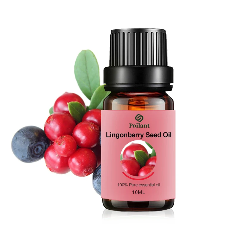 Wholesale Price Organic Lingonberry Seed Oil For Skin / Massage Carrier oil Bulk