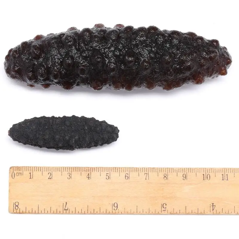 Wholesale Seafood Supplier Dry Sea Cucumber For Sale In Cheap Price