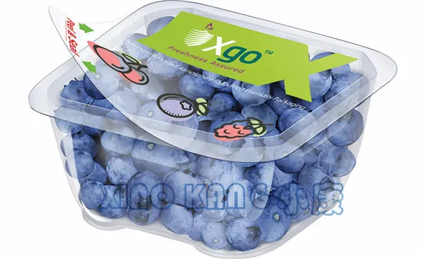 Factory price automatic continuous vacuum MAP sealing machines ready meals meet ball chicken tray sealer packing