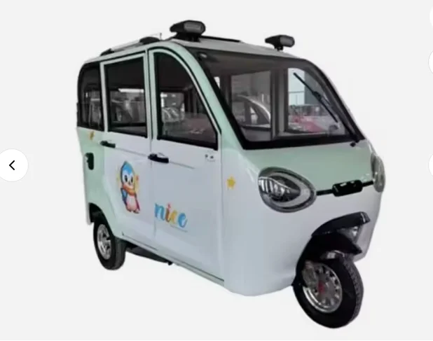 Fully Enclosed Electric Tricycle Adult Family Female Small New Energy Five-door Double-row Battery Tricycle