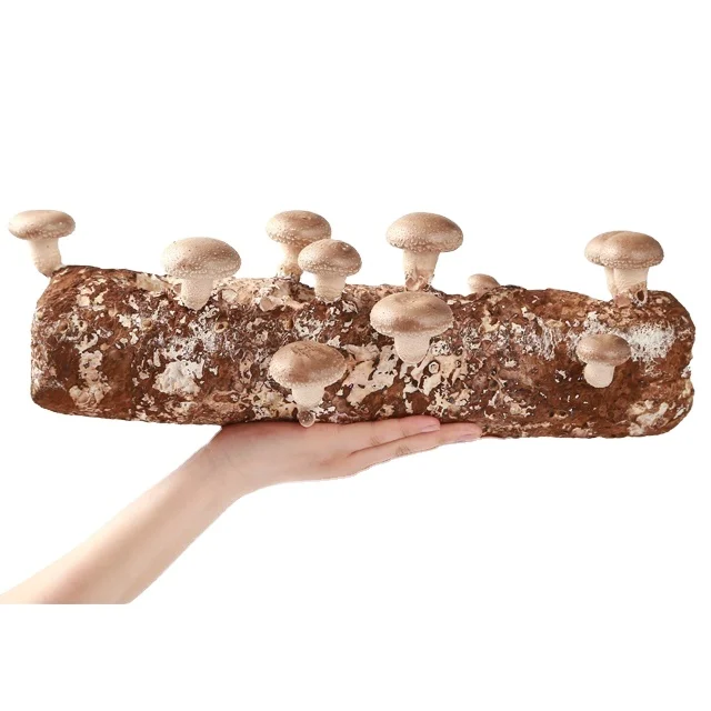 Подложка, Органическая сертификация, высокая производительность, пакеты для выращивания грибов shiitake