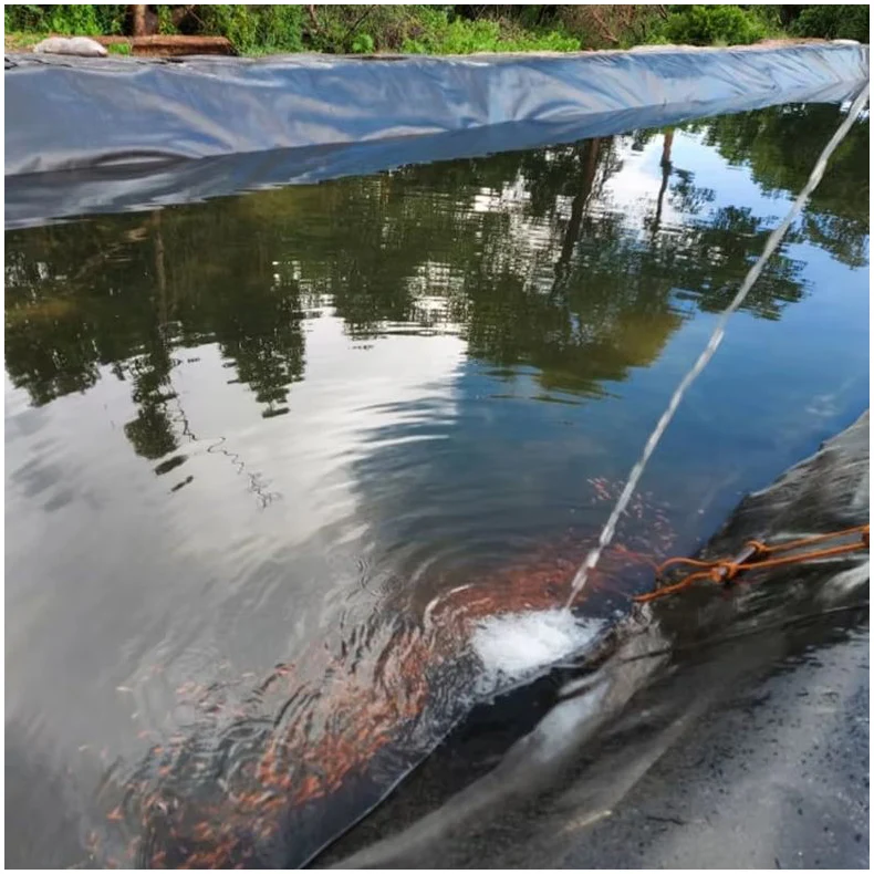 0.75mm 1mm  Black Color 100% New Virgin HDPE Geomembrane Popular for Fian Farm Fish Pond Liner