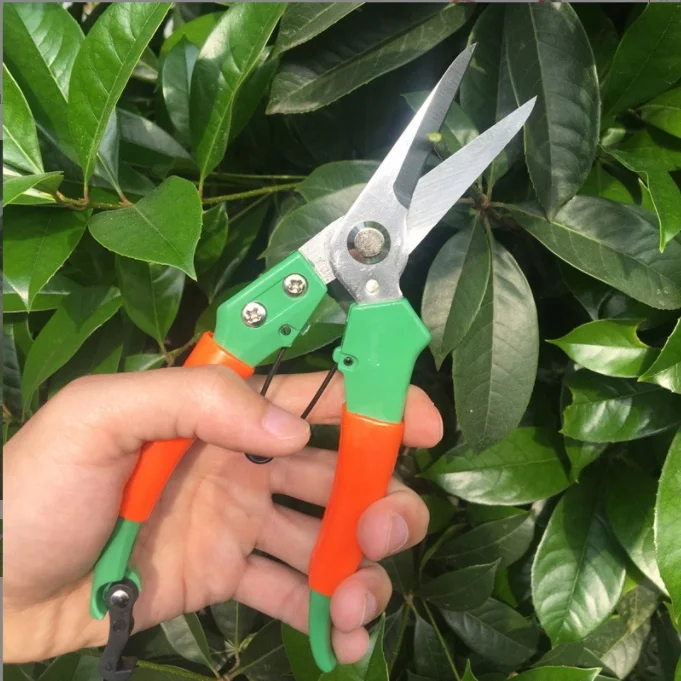 2023 Popular gardening scissors multi-functional pruning branches cutting fruit tree tree cutting garden tools can be set