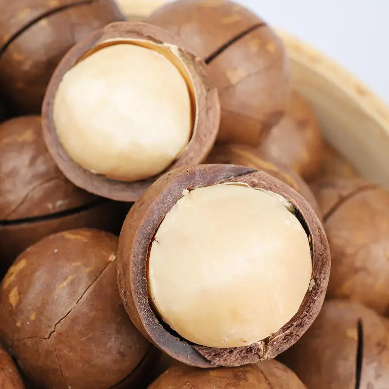 Hot sell wholesale cheap delicious sweet macadamia nuts for baking