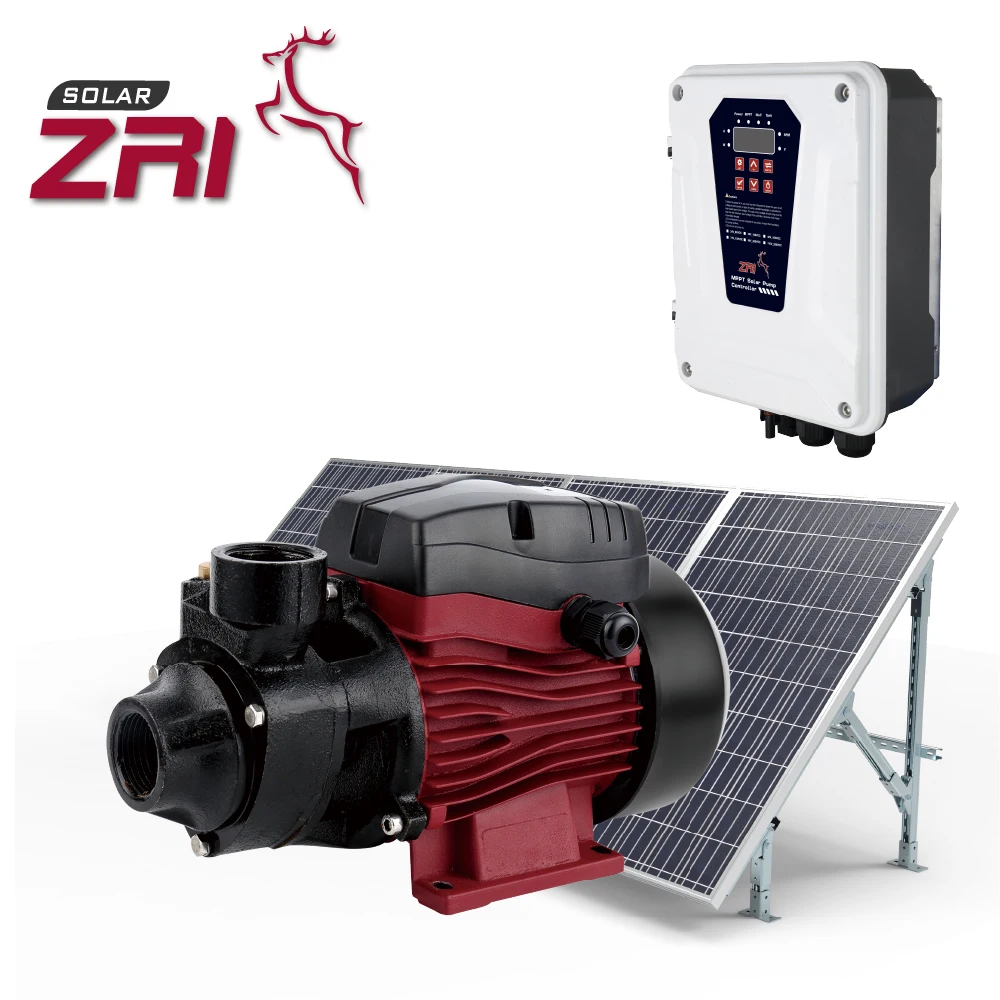 Zri Aluminium And Cast Iron Mini Bore Solar Water Pump Inverter With Mppt For Home