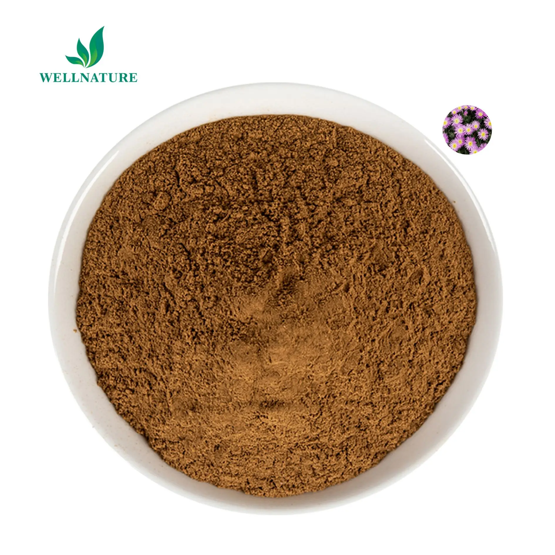 Wholesale Kanna Extract Powder 100:1 Sceletium Tortuosum Extract Mesembrine Powder for Food Additives