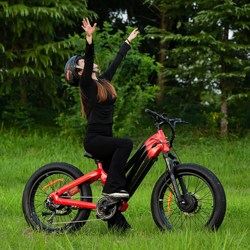 2023 shimano bicicleta electrica 26tire 48v emountain beach cruiser bicycle 1000w bafang ebike 30ah dual motor kenda torque bic