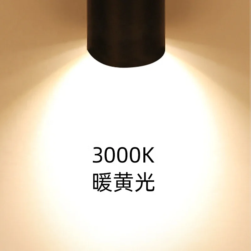 smart Tuya Wifi Zigbee BT 10W 20w 30W rgb rgbw wrgb tunable white track light adapter european home spot light