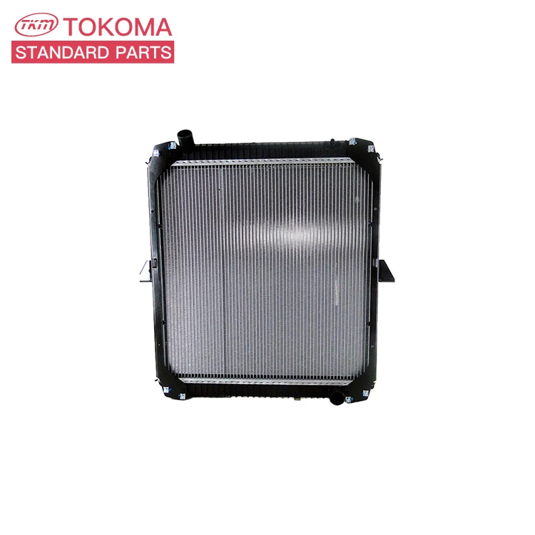 Auto Parts Cooling System Electric Radiator Cast Iron Radiator for BENZ C-CLASS W202 C220 CDI 2025005603 2025006403