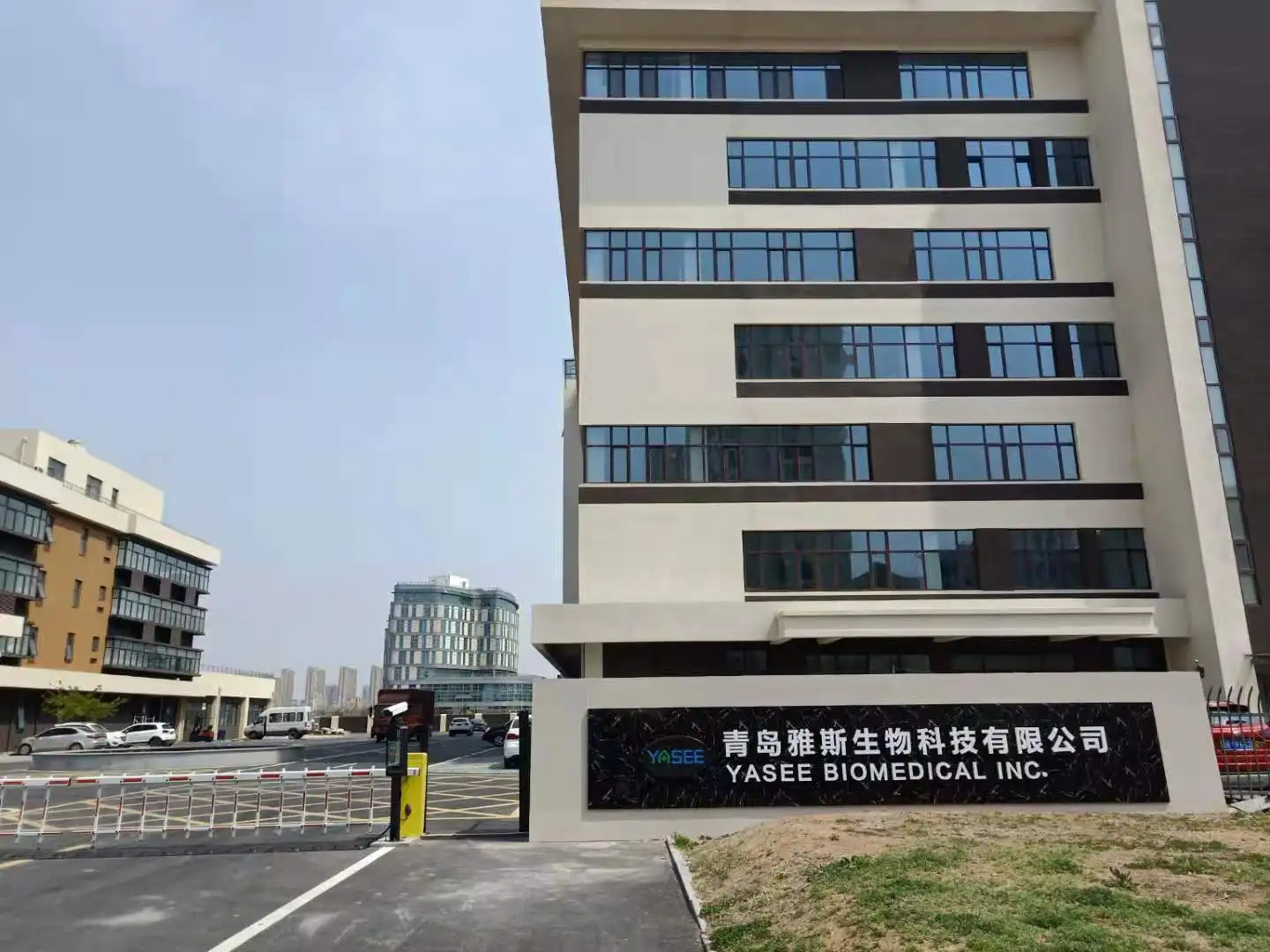 Yasee OEM ODM CE Medical Non Contact Digital Electronic Forehead Ear Infrared Thermometer