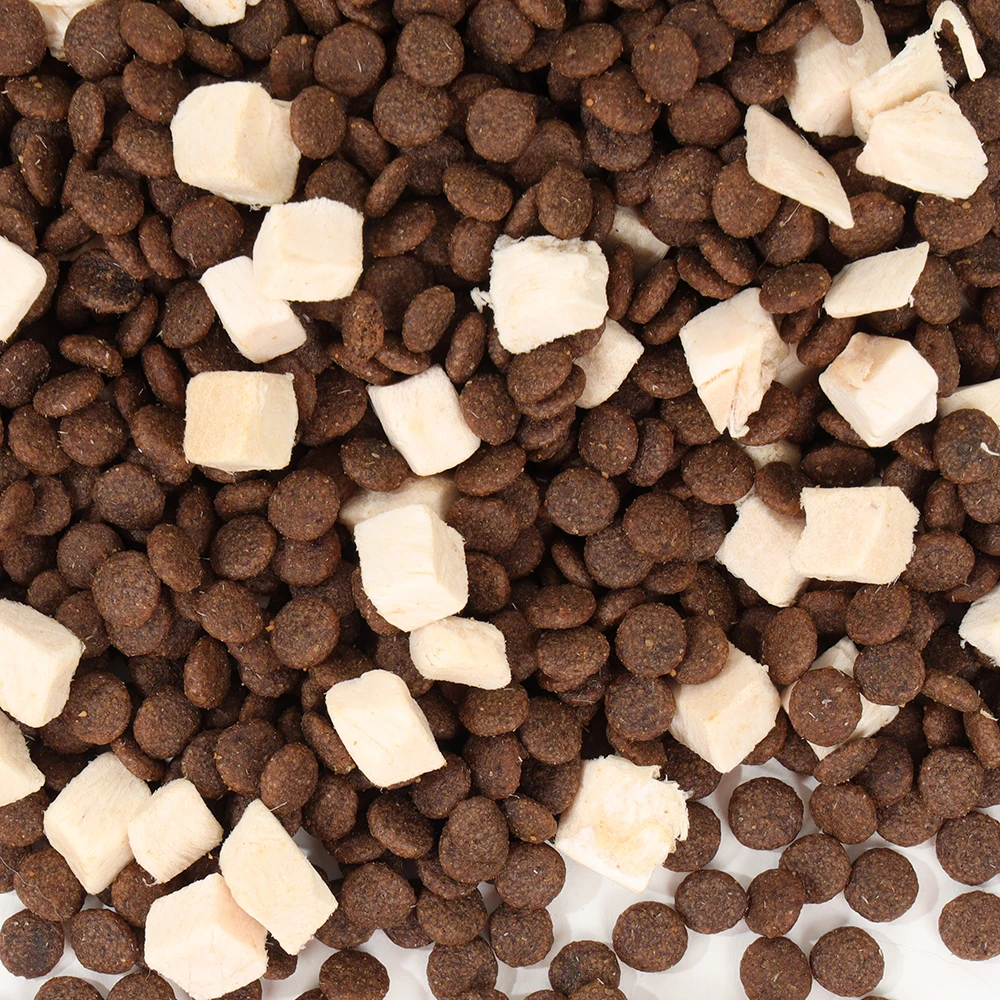 Top Breed Dog Food Beef Flavor - HALF KG (Puppy & Adult)  1.5kg/5kg dry dog food cat food OEM Manufacturer from China