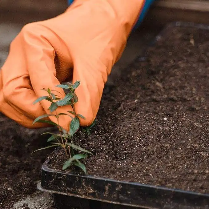 High Quality seed starter sprouter tray microgreen sets 1020 flat nursery Plant gardening Germination Growing Seedling Tray