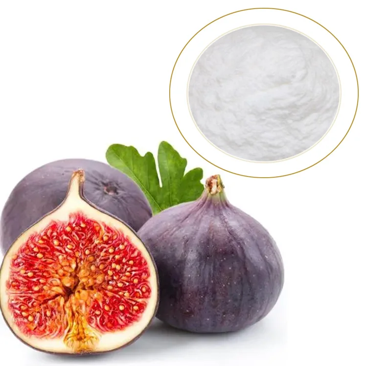 Fig Ficus carica common fig figue extract ficin Ficus proteinase Ficin froM Fig Tree Latex ficus protease