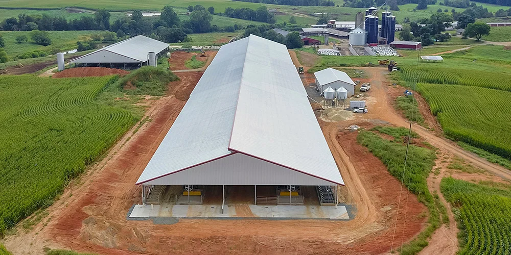 Steel Structure Dairy Cow Shed Farming House Cow Shed Farm Building Cattle Sail Cow Housing