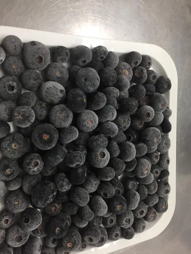 Wholesale IQF Best Common Frozen Blueberries from Peru
