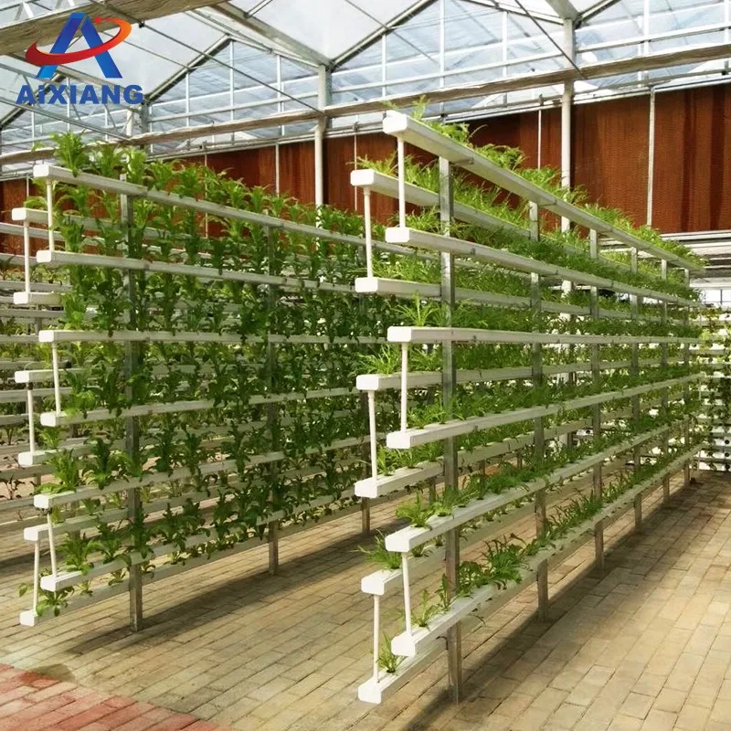 High Quality Soilless Cultivation Vertical Hydroponic PVC Pipe NFT Farm Growing System for Sale