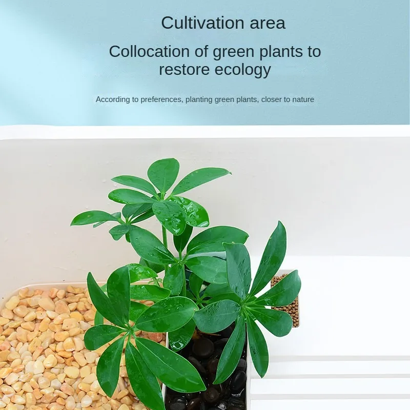 Home Turtle Pot Turtle Tank Breeding Professional Breeding Pot Turtle Box