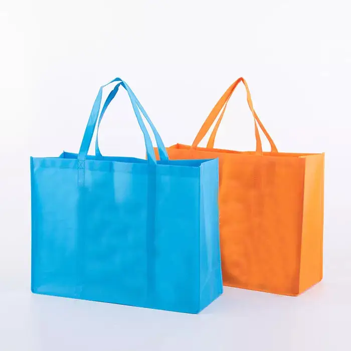 Cheap Eco Friendly Manufacturer 20kg Laminated Reusable PP Non Woven Bag
